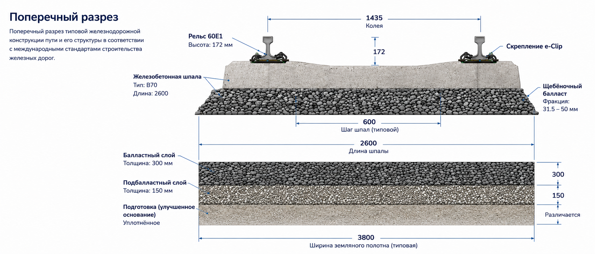 Cross Section