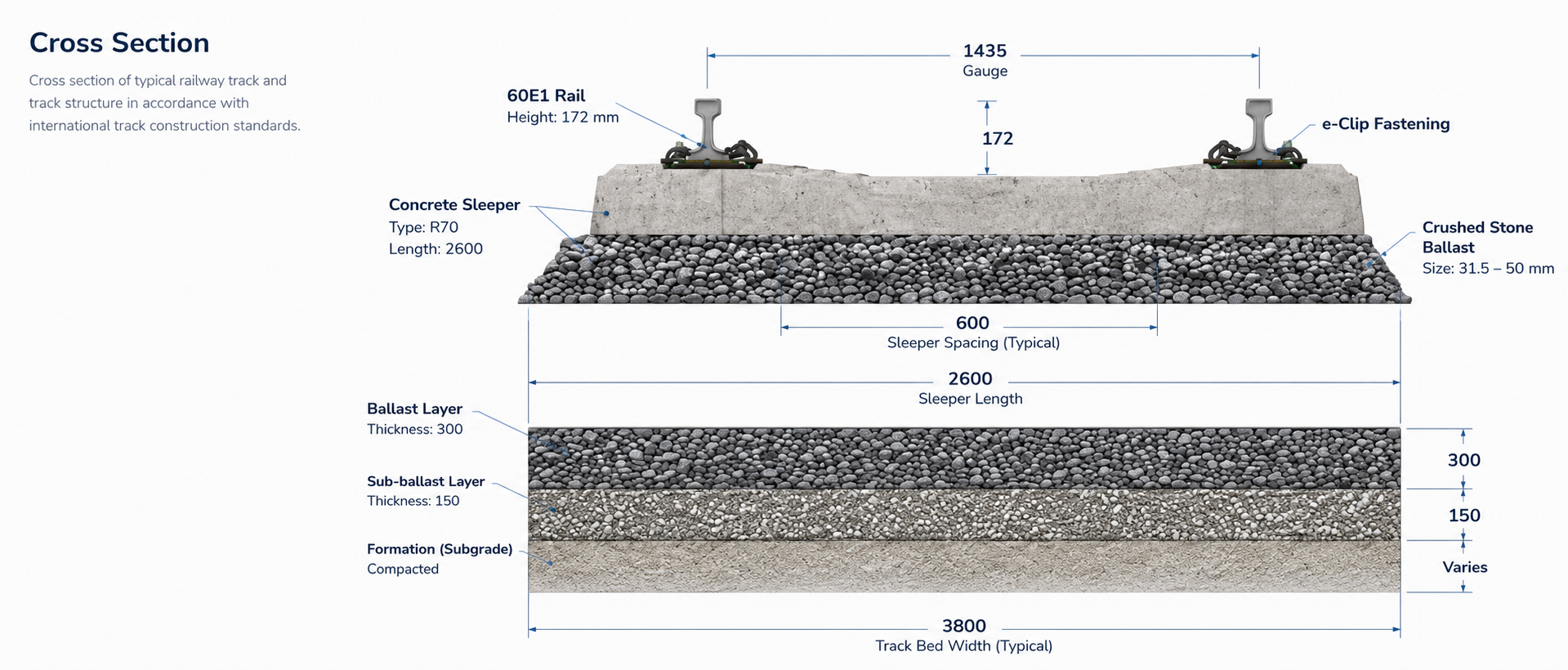 Cross Section